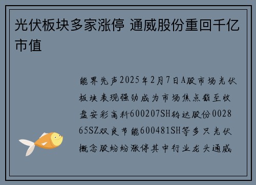 光伏板块多家涨停 通威股份重回千亿市值