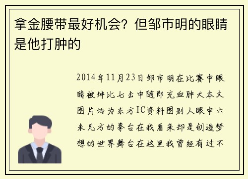 拿金腰带最好机会？但邹市明的眼睛是他打肿的
